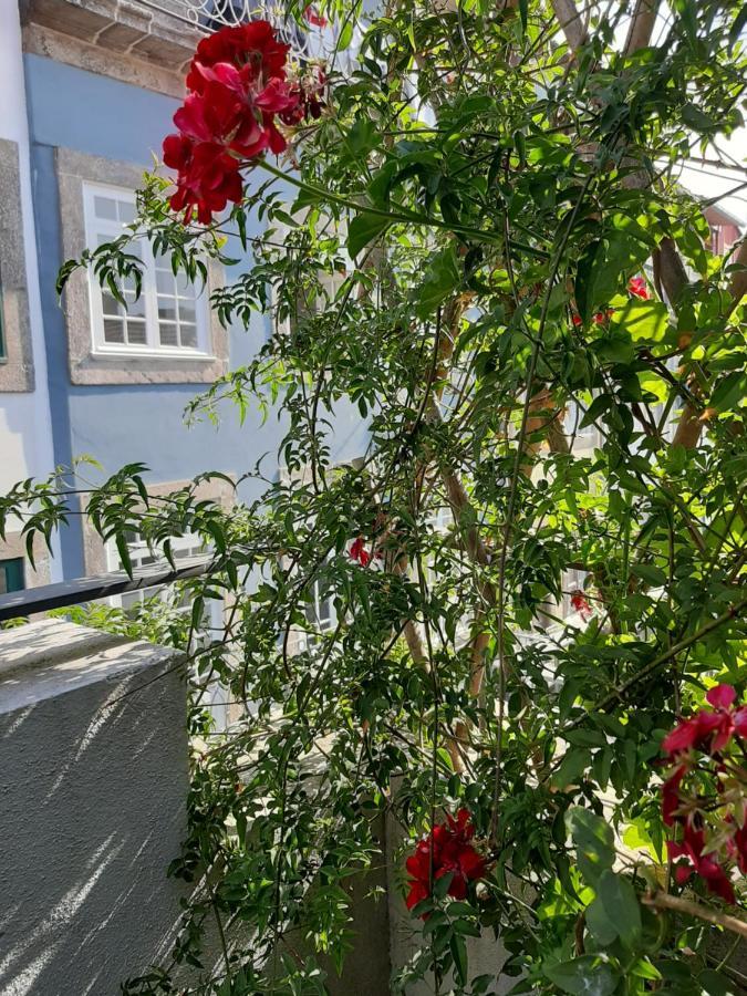 Amazing City Center Apartment Porto Villa Loios Экстерьер фото